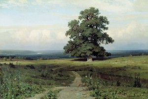 ivan-shishkin-among-the-open-valley-oil-on-canvas-1883