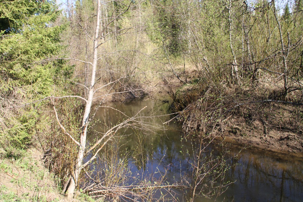Kulöm-ju (Surnud jõgi, mis peaaegu ei voola), komi küttide kalastuspaik. Foto: Art Leete 2012
